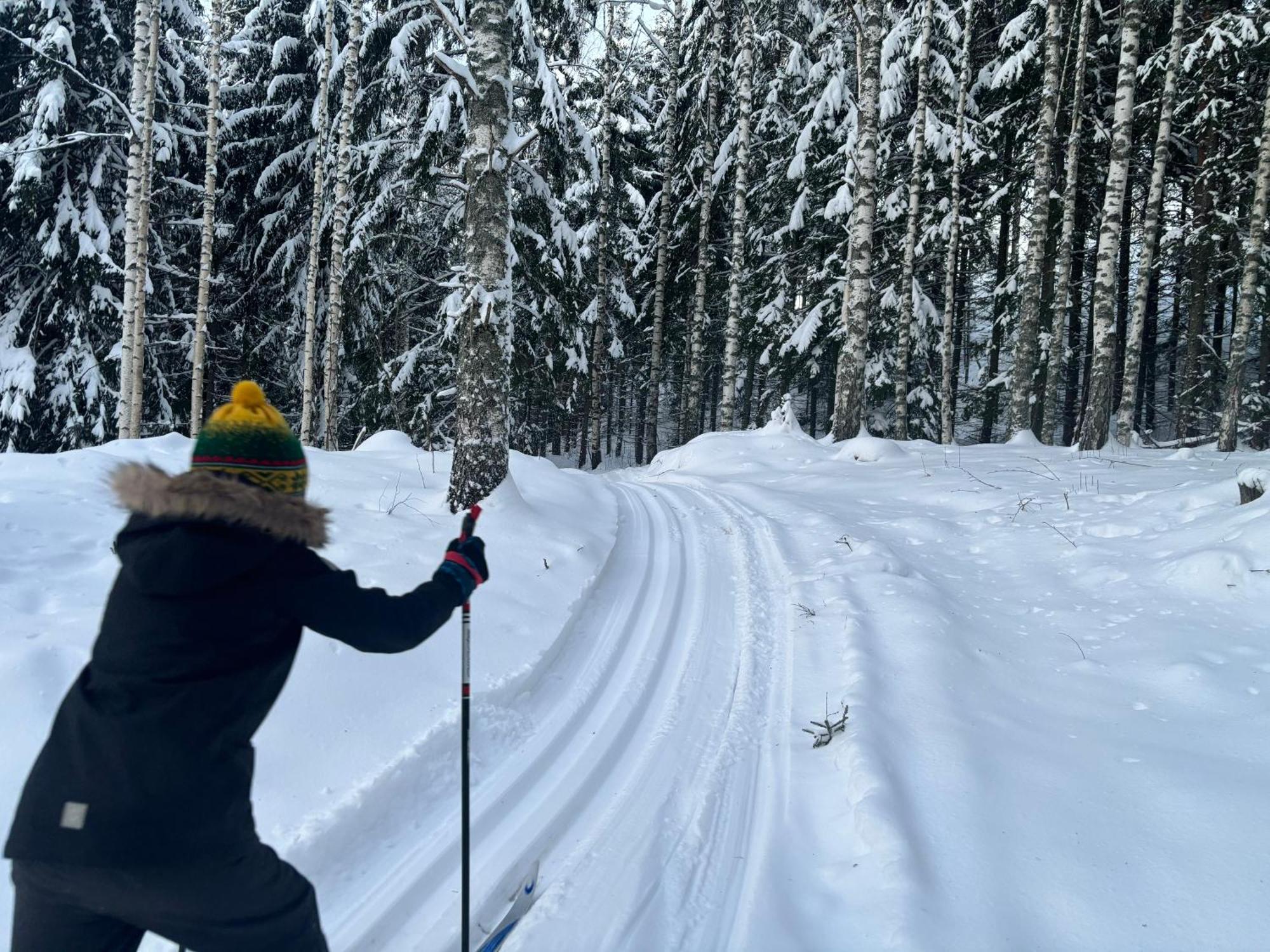 Tarula Holiday Home Melkoniemi Luaran gambar
